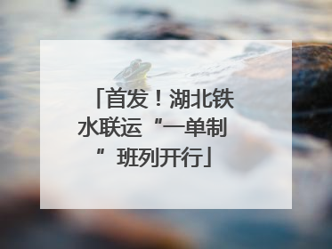 首发！湖北铁水联运“一单制”班列开行
