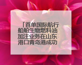首单国际航行船舶生物燃料油加注业务在山东港口青岛港成功落地