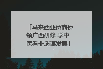 马来西亚侨商侨领广西研修 学中医看非遗谋发展