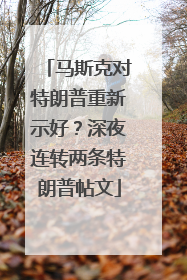马斯克对特朗普重新示好？深夜连转两条特朗普帖文