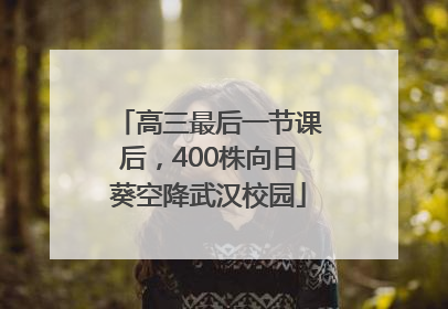 高三最后一节课后，400株向日葵空降武汉校园