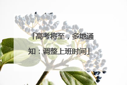 高考将至，多地通知：调整上班时间