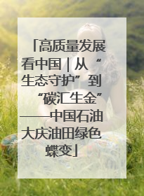 高质量发展看中国｜从“生态守护”到“碳汇生金”——中国石油大庆油田绿色蝶变