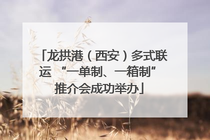 龙拱港（西安）多式联运 “一单制、一箱制” 推介会成功举办