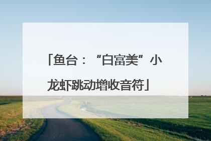 鱼台：“白富美”小龙虾跳动增收音符