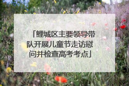 鲤城区主要领导带队开展儿童节走访慰问并检查高考考点