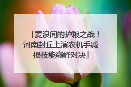麦浪间的护粮之战！河南封丘上演农机手减损技能巅峰对决