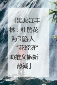 黑龙江丰林：杜鹃花海引游人 “花经济”助推文旅新热潮