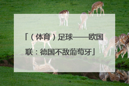（体育）足球——欧国联：德国不敌葡萄牙