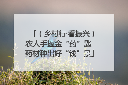 （乡村行·看振兴）农人手握金“药”匙 药材种出好“钱”景