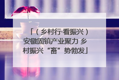 （乡村行·看振兴）安徽固镇产业聚力 乡村振兴“畜”势勃发