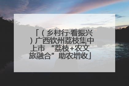 （乡村行·看振兴）广西钦州荔枝集中上市 “荔枝+农文旅融合”助农增收