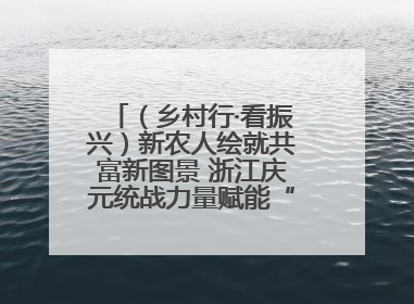 （乡村行·看振兴）新农人绘就共富新图景 浙江庆元统战力量赋能“海拔经济”