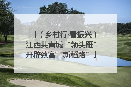 （乡村行·看振兴）江西共青城“领头雁”开辟致富“新稻路”