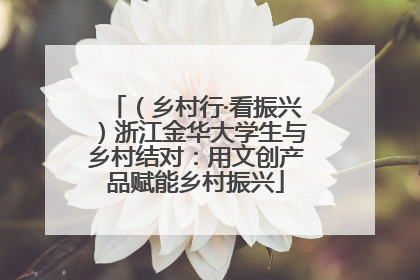 （乡村行·看振兴）浙江金华大学生与乡村结对：用文创产品赋能乡村振兴