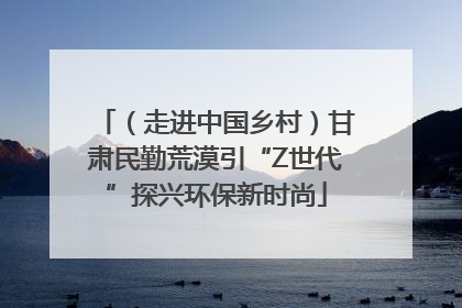 （走进中国乡村）甘肃民勤荒漠引“Z世代”探兴环保新时尚