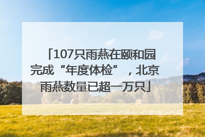 107只雨燕在颐和园完成“年度体检”，北京雨燕数量已超一万只
