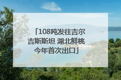 108吨发往吉尔吉斯斯坦 湖北鲜桃今年首次出口