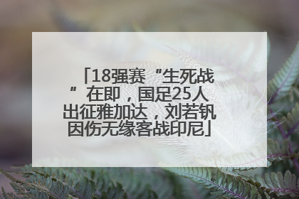 18强赛“生死战”在即，国足25人出征雅加达，刘若钒因伤无缘客战印尼