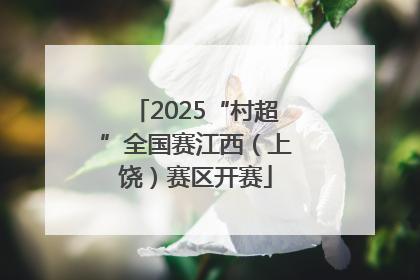 2025“村超”全国赛江西（上饶）赛区开赛