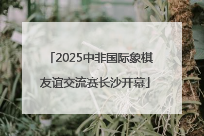 2025中非国际象棋友谊交流赛长沙开幕