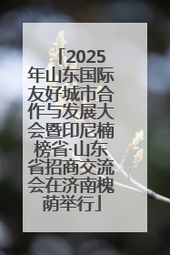 2025年山东国际友好城市合作与发展大会暨印尼楠榜省·山东省招商交流会在济南槐荫举行