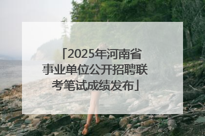 2025年河南省事业单位公开招聘联考笔试成绩发布