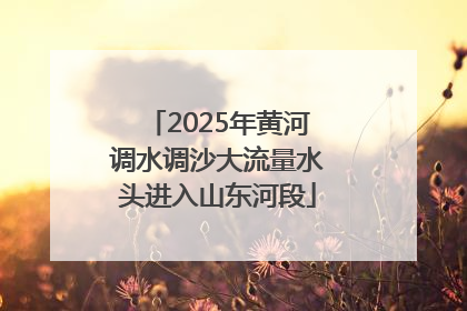 2025年黄河调水调沙大流量水头进入山东河段