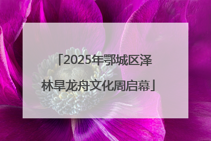 2025年鄂城区泽林旱龙舟文化周启幕