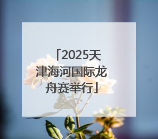 2025天津海河国际龙舟赛举行