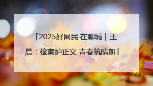 2025好网民·在聊城｜王晨：检察护正义 青春筑晴朗