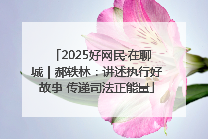 2025好网民·在聊城｜郝轶林：讲述执行好故事 传递司法正能量