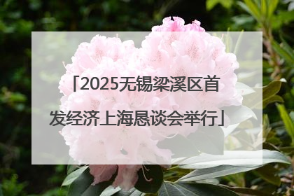 2025无锡梁溪区首发经济上海恳谈会举行
