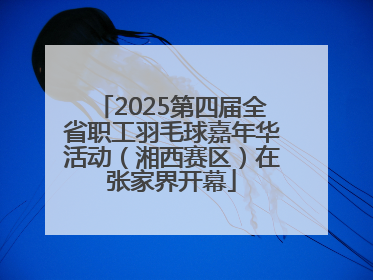2025第四届全省职工羽毛球嘉年华活动（湘西赛区）在张家界开幕