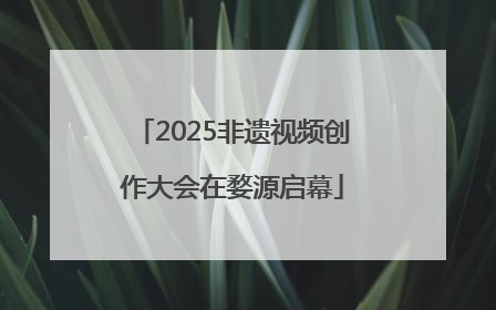 2025非遗视频创作大会在婺源启幕