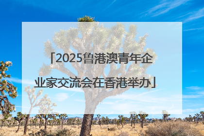 2025鲁港澳青年企业家交流会在香港举办