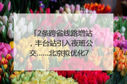 2条跨省线路增站，丰台站引入夜班公交……北京拟优化7条公交线！