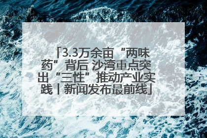 3.3万余亩“两味药”背后 沙湾重点突出“三性”推动产业实践丨新闻发布最前线