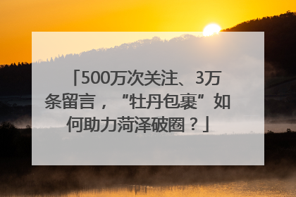 500万次关注、3万条留言，“牡丹包裹”如何助力菏泽破圈？