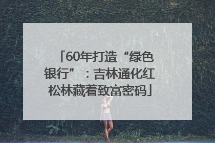 60年打造“绿色银行”：吉林通化红松林藏着致富密码