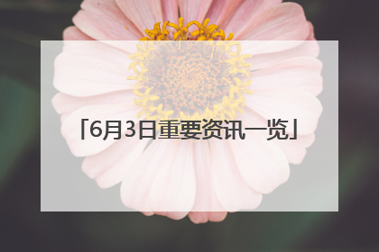 6月3日重要资讯一览