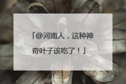 @河南人，这种神奇叶子该吃了！