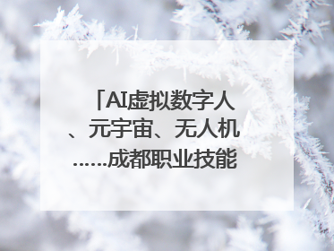 AI虚拟数字人、元宇宙、无人机……成都职业技能大赛启动