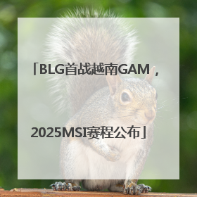 BLG首战越南GAM，2025MSI赛程公布