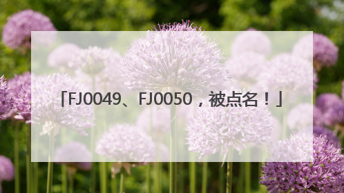 FJ0049、FJ0050，被点名！