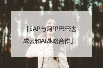 SAP与阿里巴巴达成云和AI战略合作