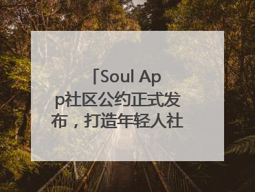Soul App社区公约正式发布，打造年轻人社交乌托邦