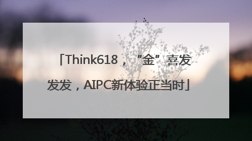 Think618，“金”喜发发发，AIPC新体验正当时